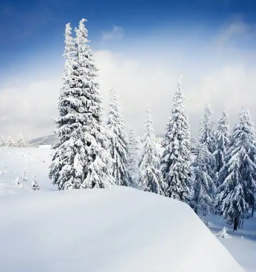 高清冬季冬天雪景自然风景jpg图片摄影图下载至来源处
