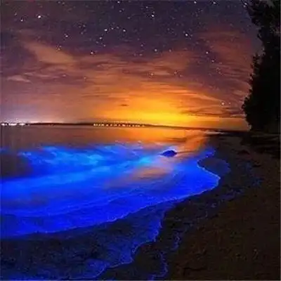 2023最新晚霞浪漫风景头像
