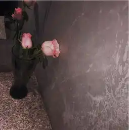 早安好句子图片希望你做人不缺爱,做爱不缺人
