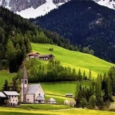 买球欧洲杯下单
