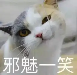 猫咪半夜蹦迪怎么回事猫咪晚上不睡觉怎么办
