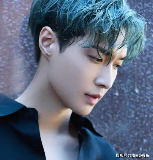 当男星染绿发,萧敬腾撞脸漫画,张艺兴迷人,而他不愧是时尚宠儿
