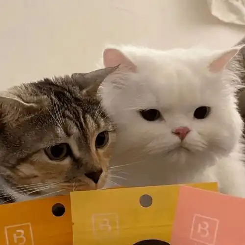 头像温柔暖心的日常文案
