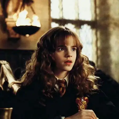 你见过最好看的哈利波特头像是什么
