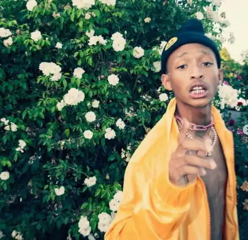 毁容式长大威尔史密斯21岁儿子被嘲像60,后悔没送儿子上学
