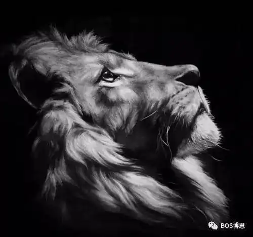 3步教你画出超级逼真的狮子手绘,可以跟照片比了
