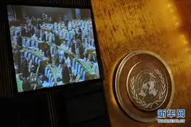 联合国大会依照惯例为金正日举行默哀
