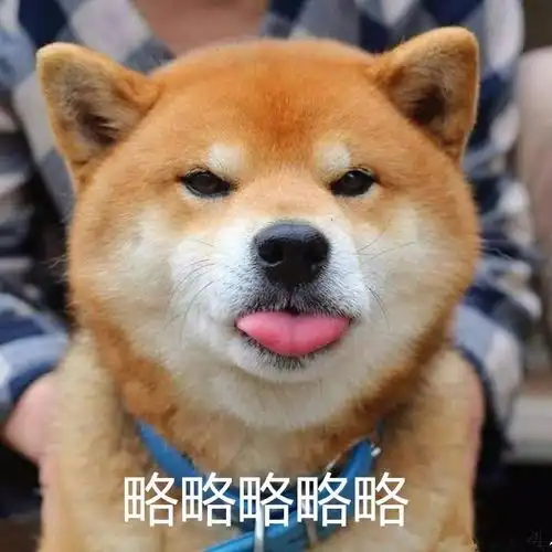 轻松一刻微信头像有多重要真相扎心了......
