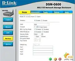 试用感受dsmg600另类的无线网络存储产品
