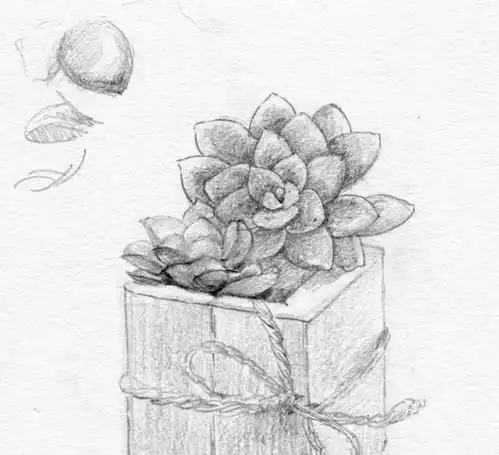 零基础素描入门步骤画0基础素描画教学视频
