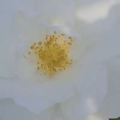最新版的ins文艺小清新的风景头像一旦有了期待心情就会变得忽然忽明忽暗
