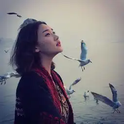 婚纱
