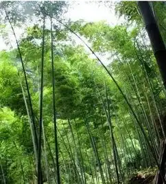 资中出发1小时车程,有着朴实又耐看的风光,最美就在这个月你可去过
