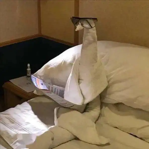 收图丨有哪些一看就在好好学习的头像
