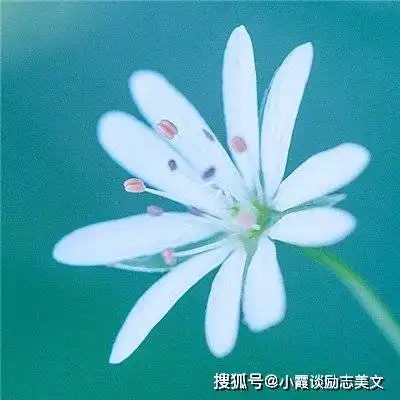 最享福的6个生日尾数的女人,30岁有儿有女,40岁有钱有女人味
