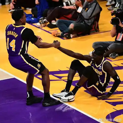 湖人队目前的球员名单詹姆斯,浓眉,威少,里夫斯,塔克
