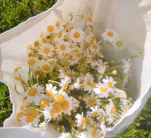 娶了这种女人的男人最好命
