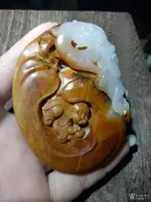 望子成龙金包玉
