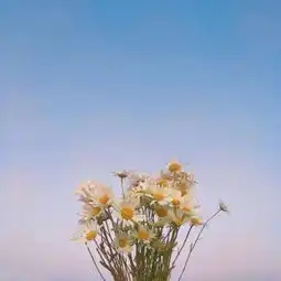 简单好看的微信风景头像清新自然微信头像我要个性网
