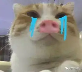 娜扎真是作死,2年时间从顶级神颜整成网红脸
