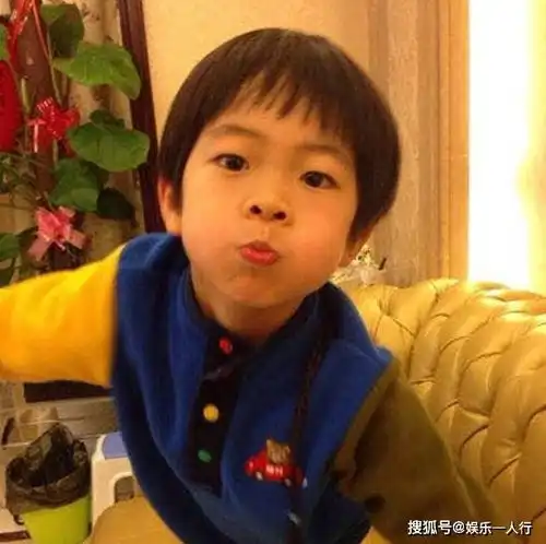 晒晒华少住的豪宅,之前生过一场大病,所以家里还做了个健身房
