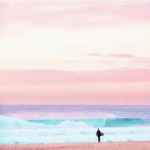 人生,当一边沐浴阳光,一边洒下荫凉
