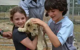 万兽之王又如何下一个被人类灭绝的动物可能就是它
