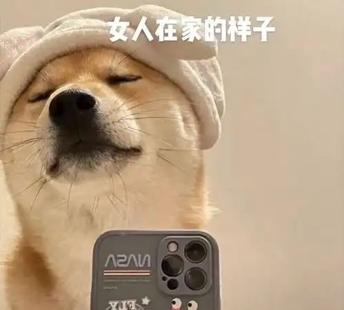 分享几张真实的表情包
