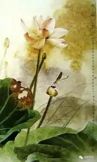 工笔画精品荷花
