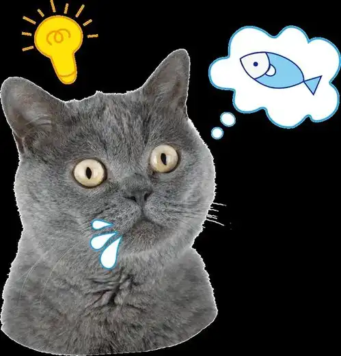 传说中的末日罐头测评来了到底好吃吗
