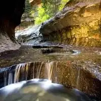 76年属龙微信招财风景头像微信头像图片大全
