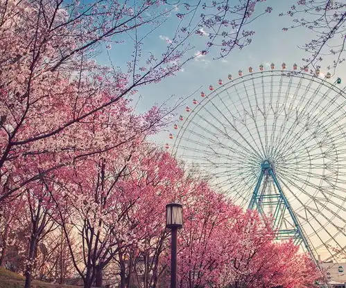 牵挂的滋味是彼此心中的一片涟漪
