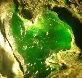 帝王绿,居然被用来做了一顶帽子
