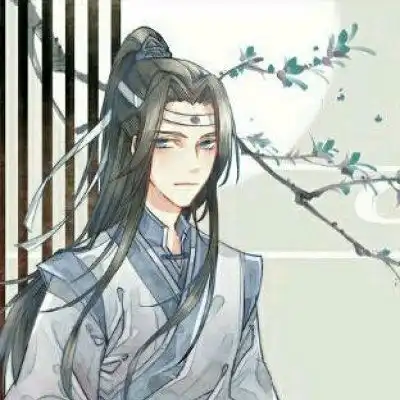 魔道祖师情侣头像一左一右魔道祖师cp头像高清图片分开
