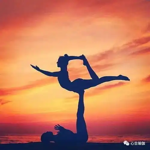 这样的瑜伽态度,你应该有
