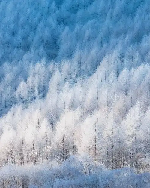 8个风景拍照技巧,每一个都值得学,拍出好看照片,一点也不难
