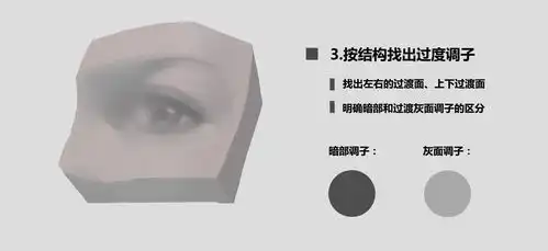 眼睛的明暗结构就用五个步骤来帮你理清
