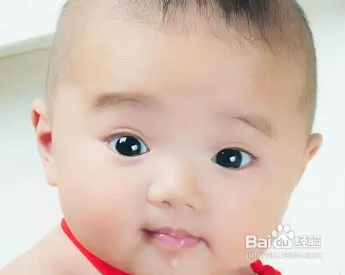 二月出生的蛇宝宝如何取名
