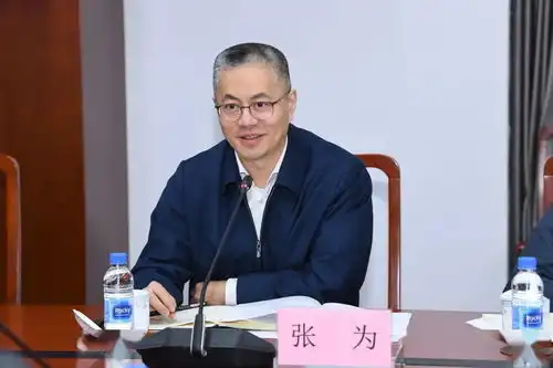 张为调研本区重大交通工程工作,薛侃陪同
