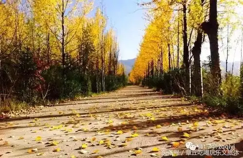章丘人,准备迎接章丘一年中最美的季节吧
