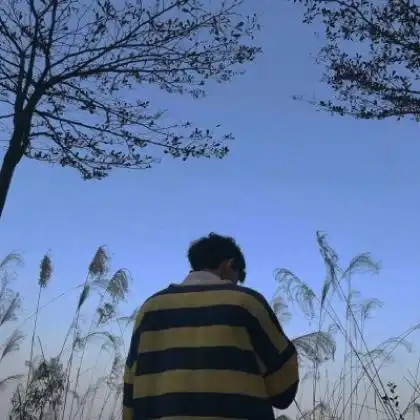 一个人慢慢体验人生的味道,男生伤感背影头像图片
