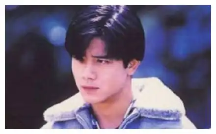 不看身高的话,郭富城年轻时又帅发量又多,这脸放现在也顶流了
