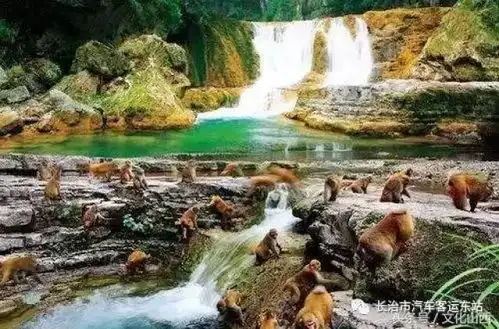 快来看,今天这条高速正式通车
