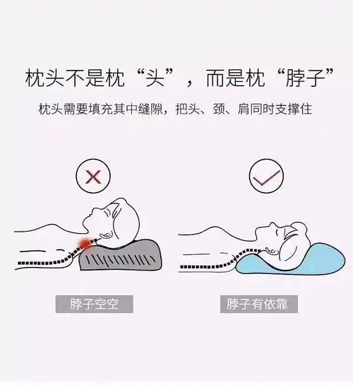 枕研所讲述枕头与睡眠的关系
