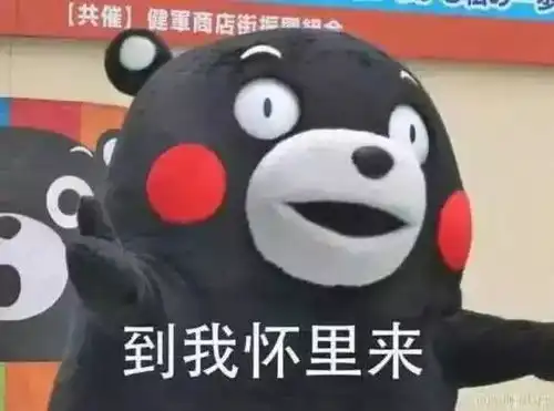 表情包你骂我,你完了,你两年都找不到对象了
