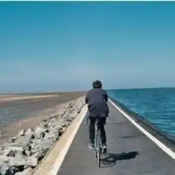 红尘情歌
