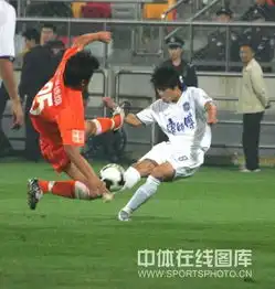 谁能给我找一个国足功夫图片如下图
