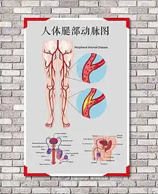 大腿图片素材大腿图片素材下载大腿背景素材大腿模板下载我图网
