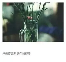 我拿余生与你举案齐眉请别让我皱眉也别让我心如死灰
