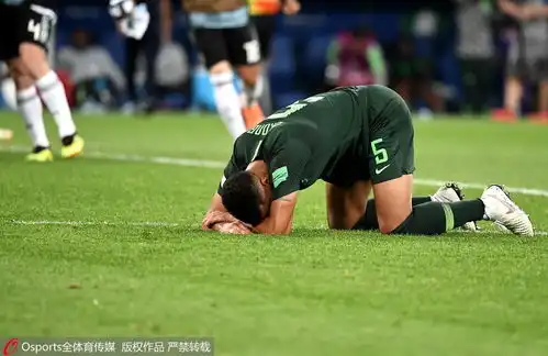 高清图世界杯27日表情包阿根廷球迷疯狂庆祝
